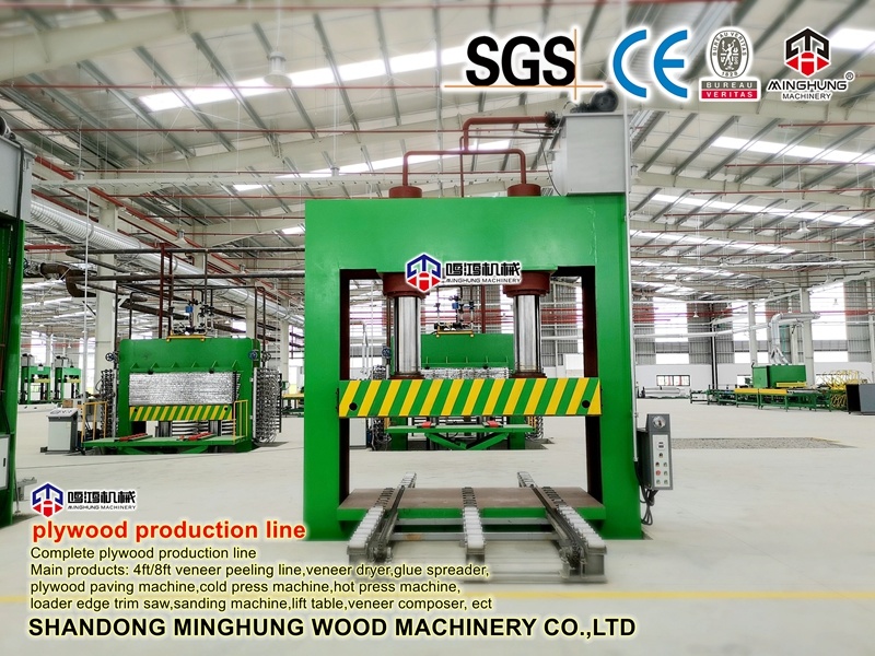 Mesin Press Hidrolik dengan Silinder Wuxi untuk Memproduksi Kayu Lapis di Pabrik Kayu Lapis
