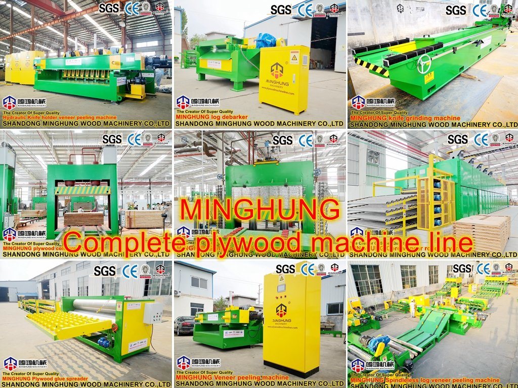 Machine de calibrage de ponçage pour le travail du bois en Chine pour la machine de contreplaqué