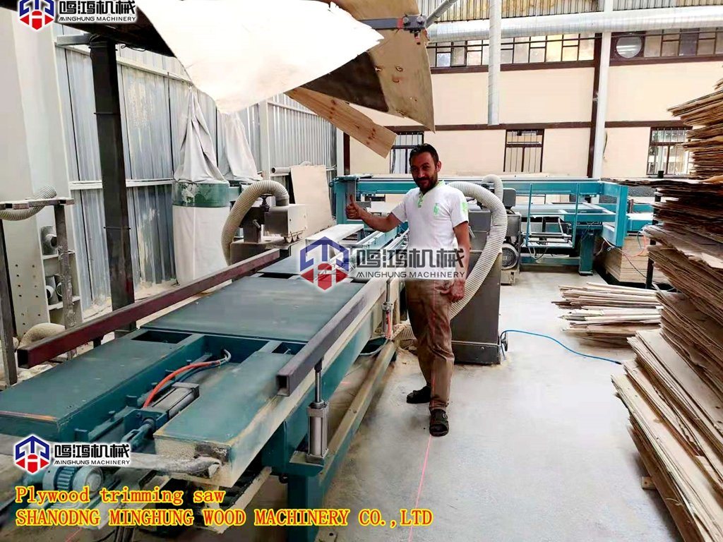 Mesin Gergaji Kayu Lapis Cepat Melingkar untuk Produksi Kayu Lapis