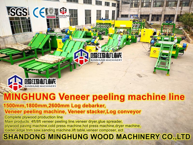 Rotary Spindleless Stump/Trunks Log Peeling Debarking Machine untuk Pembuatan Veneer