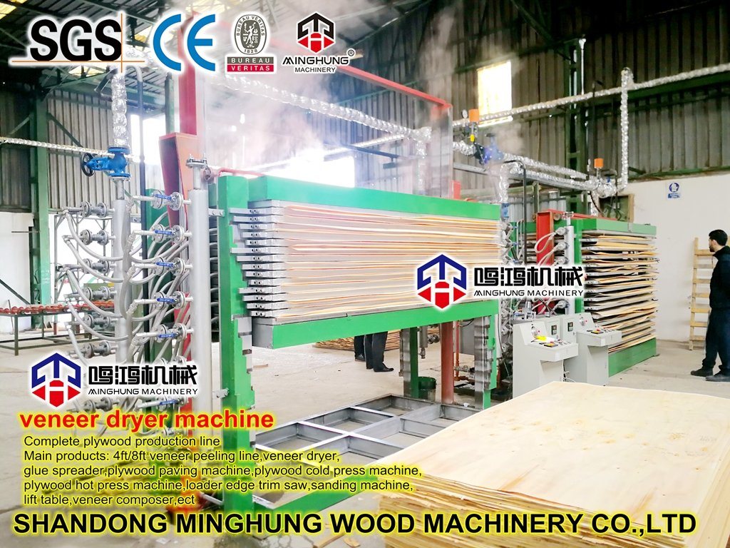 Hot Platens Wood Veneer Press Dryer Saving Electricity