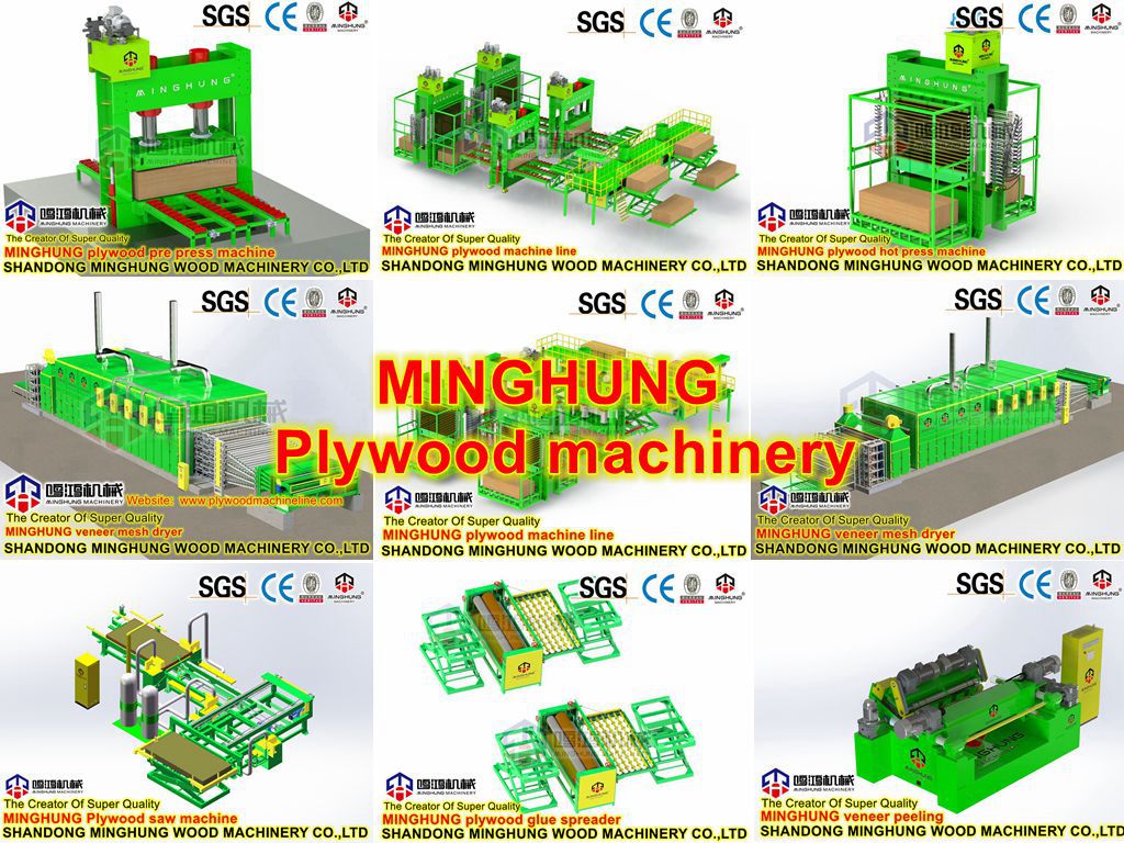 MINGHUNG Plywood production line.jpg