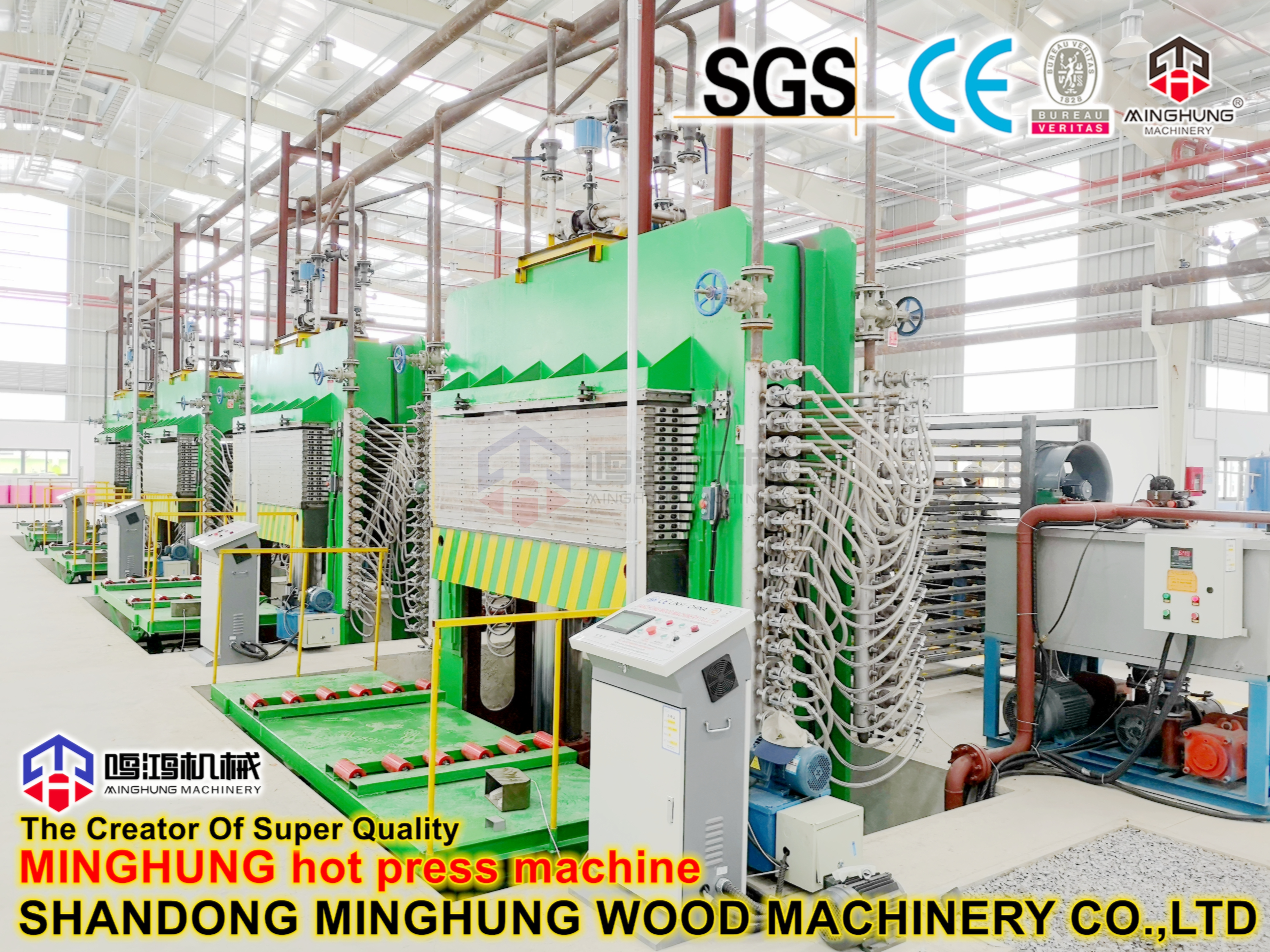 Plywood Manufacturing Process in China Factory