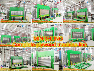 Hot Press Plywood Machine for Woodworking Machine