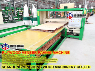 Plywood Assemble Line for Plywood Veneer Paving Line