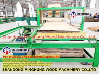 Plywood Veneer Paving Line for Plywood Production Line