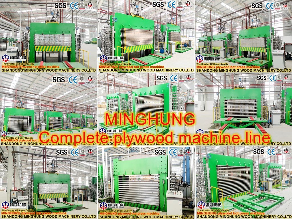 Mesin Cold Press Plywood Core Veneer untuk Industri Panel Baed Kayu