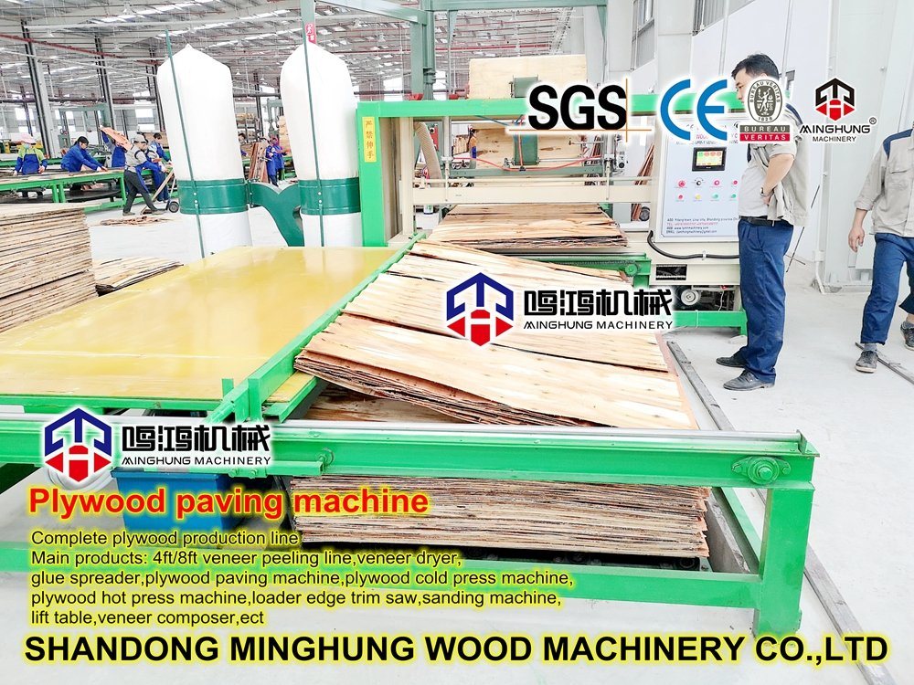 Conveyor Otomatis dan Mesin Pemotong untuk Produksi Kayu Lapis