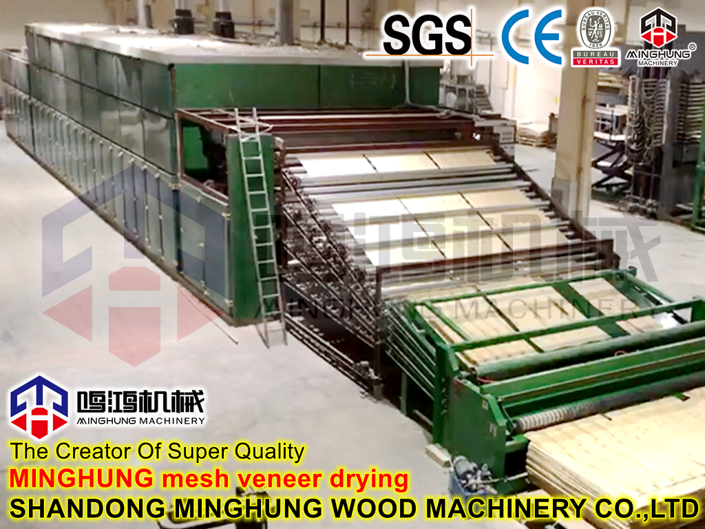 Mesh Dryer for Drying Plywood Veneer Papel
