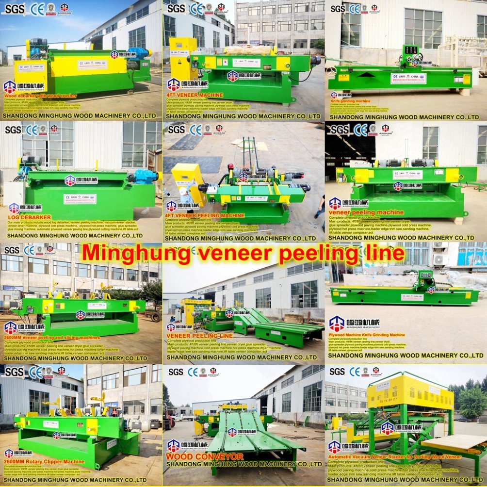 Rotary Veneer Machine for Sale with Favorable Price