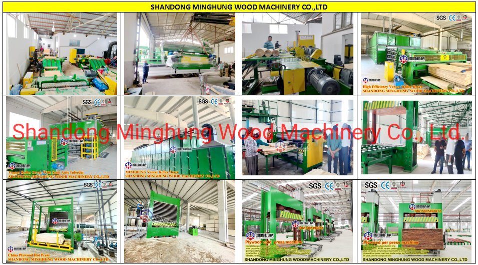 Machine de calibrage de ponçage pour le travail du bois en Chine pour la machine de contreplaqué