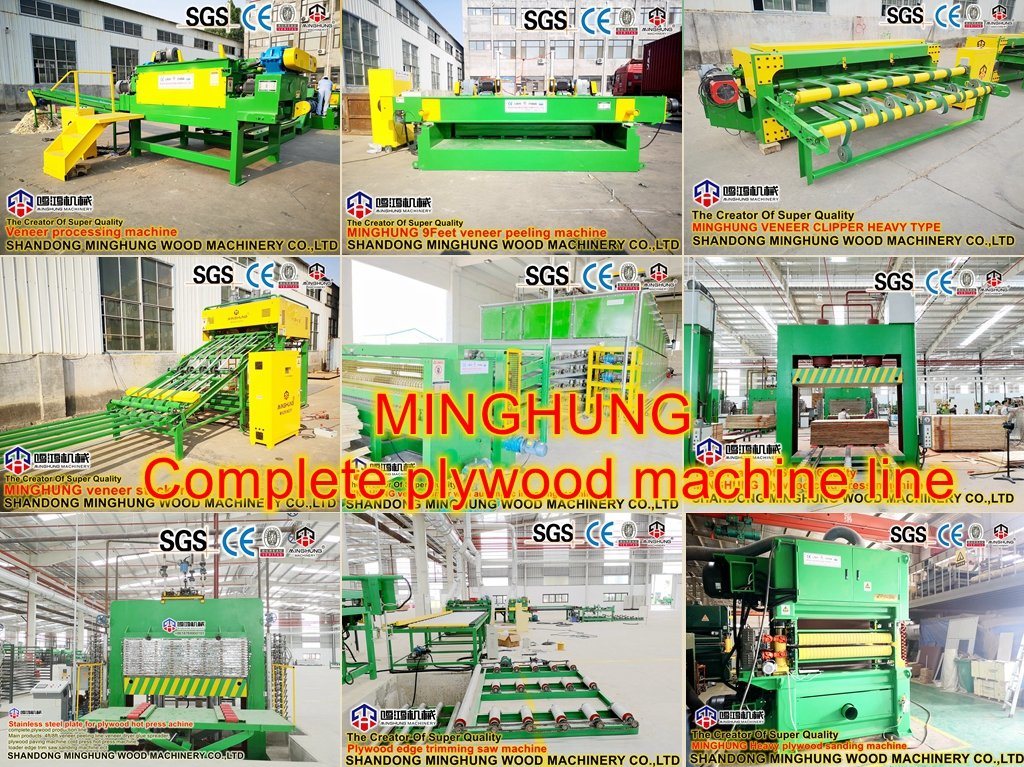 China Spindleless 8feet Wood Log Tree Mengupas Mesin Pemotong untuk Membuat Kayu Lapis & Furnitur