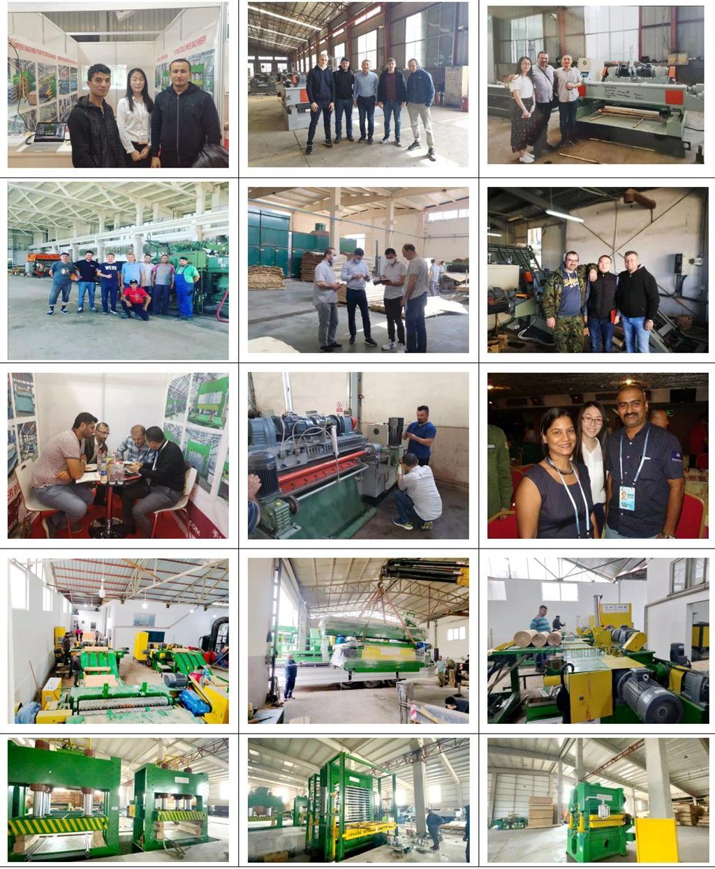 Mesin Roller Transport Veneer Dryer untuk Produksi Veneer