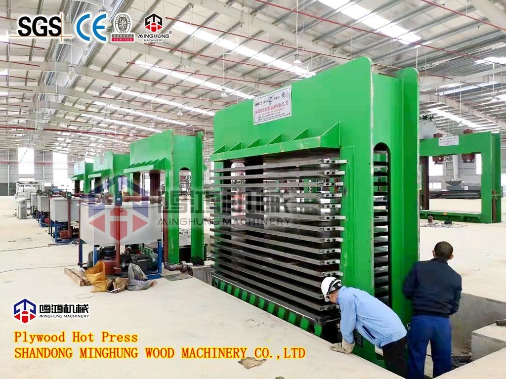 Full Sets Plywood Production Line for Making Plywood Board