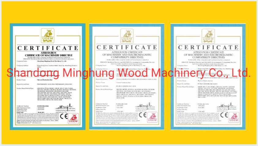 Spindleless Veneer Peeling Line untuk Lini Produksi Lembar Kayu Lapis Woodworking