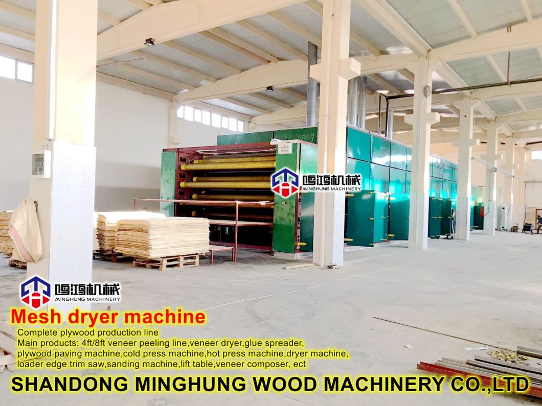 Plywood Veneer Papel Drying Machine Mesh Dryer