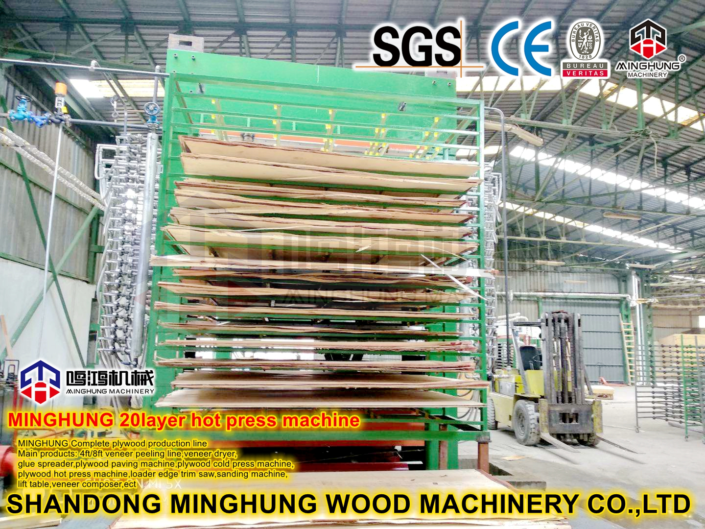 Hot Press for Shuttering Plywood