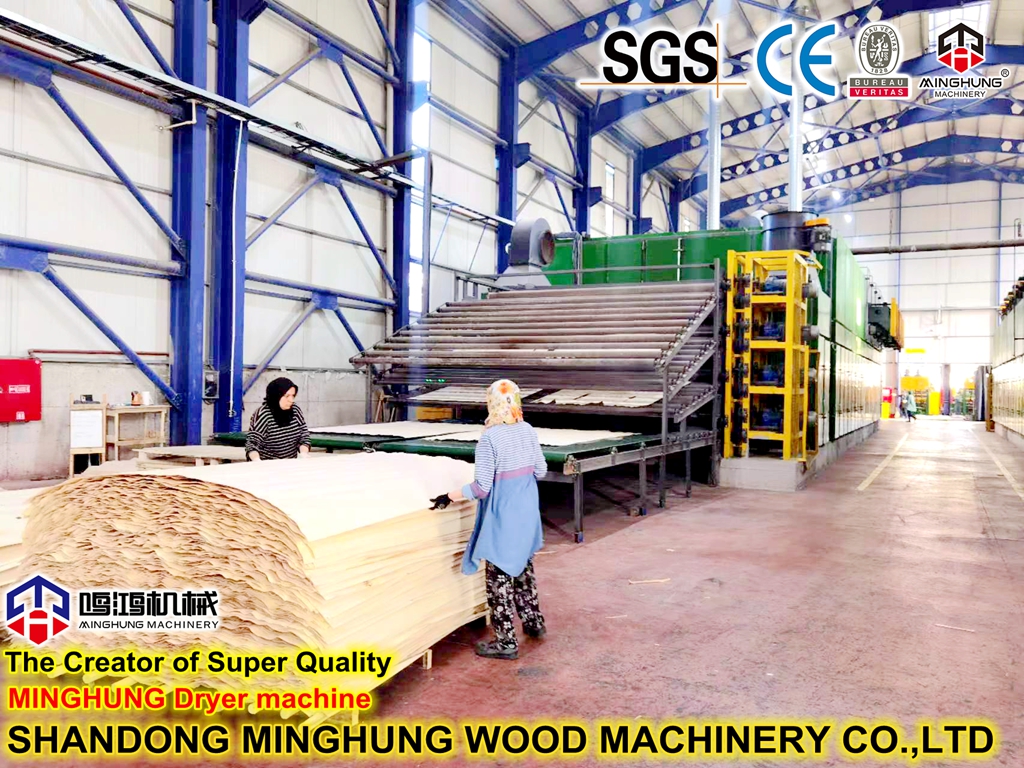 Wood Veneer Roller Dryer Equipment Technology for Plywood