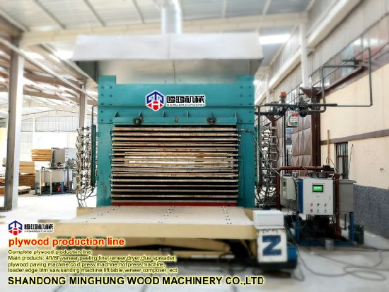 Hydraulic Plywood Hot Press Machine with Ce