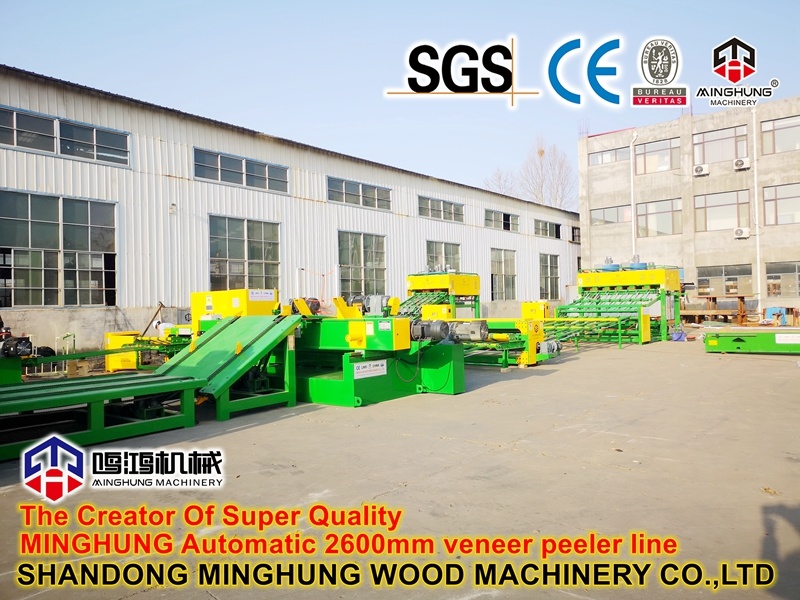 Plywood Machine for Construction Furniture Packing Plywood
