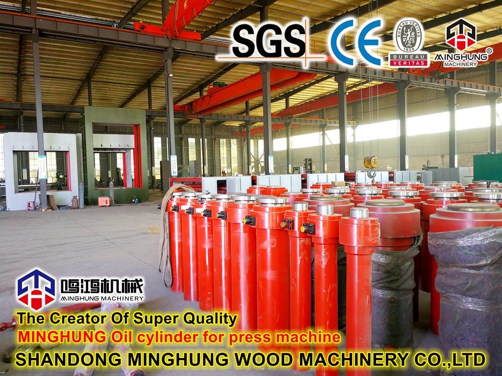 Mesin Plywood dengan Cold Press di China Linyi