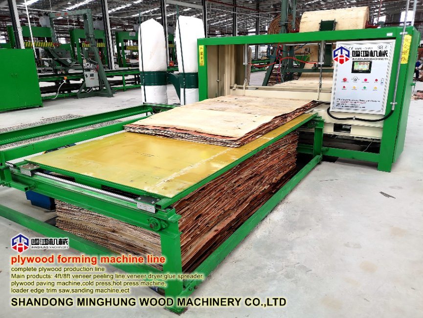 Conveyor Otomatis dan Mesin Pemotong untuk Produksi Kayu Lapis