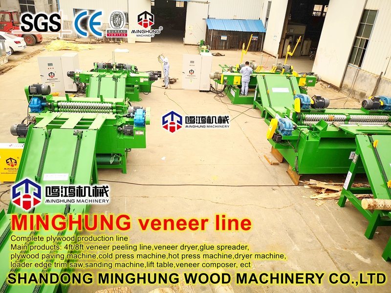 Rotary Spindleless Stump/Trunks Log Peeling Debarking Machine untuk Pembuatan Veneer